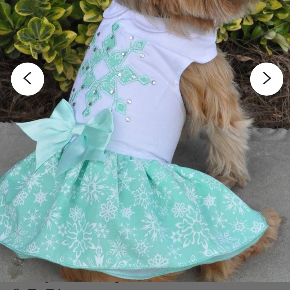 Turquoise Crystal Dress w/ Leash & D-Ring Sz. L